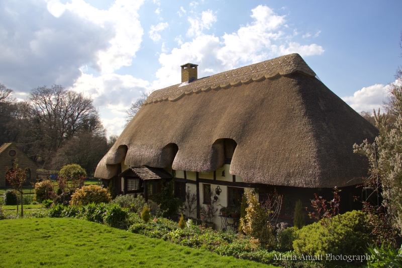 Old Thatch & The Millennium Barn